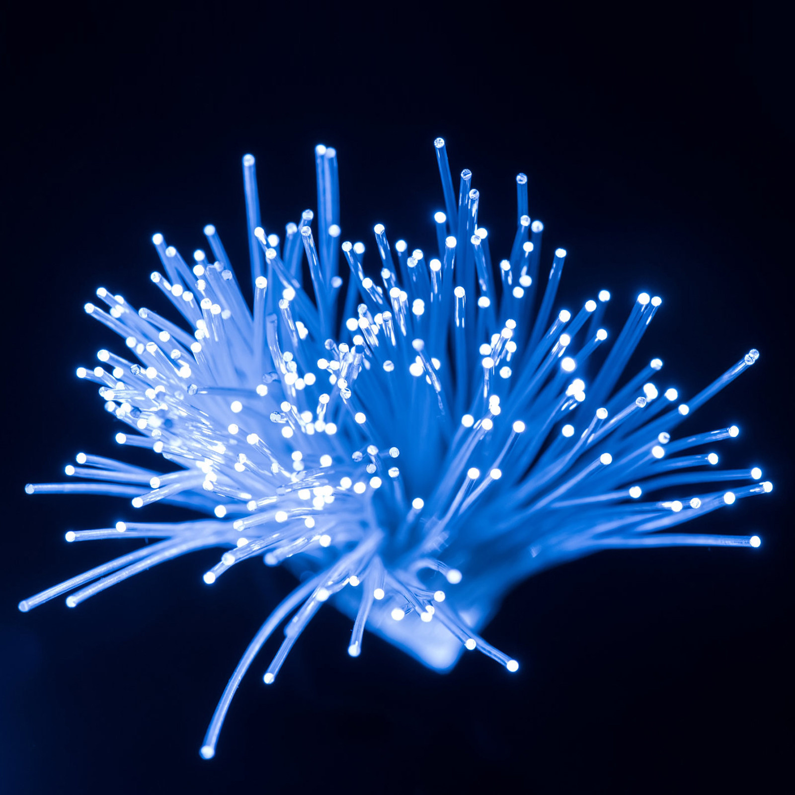 100 Meters Light Guiding Optic - Decor Lighting Fixtures 评论和价格