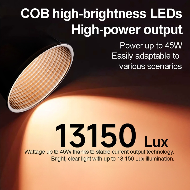 60W RGB Video Light Portable L - Lighting Gallery 评论和价格