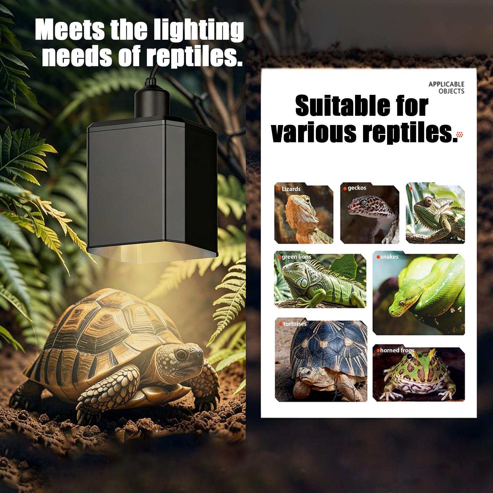 Heat Lamp Shade For Reptiles T - Gecko Lighting & Decor 评论和价格